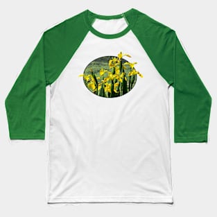 Irises - Yellow Irises Baseball T-Shirt